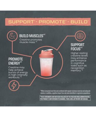 US Active Creatine Rainbow Sherbet 335g (50 srv