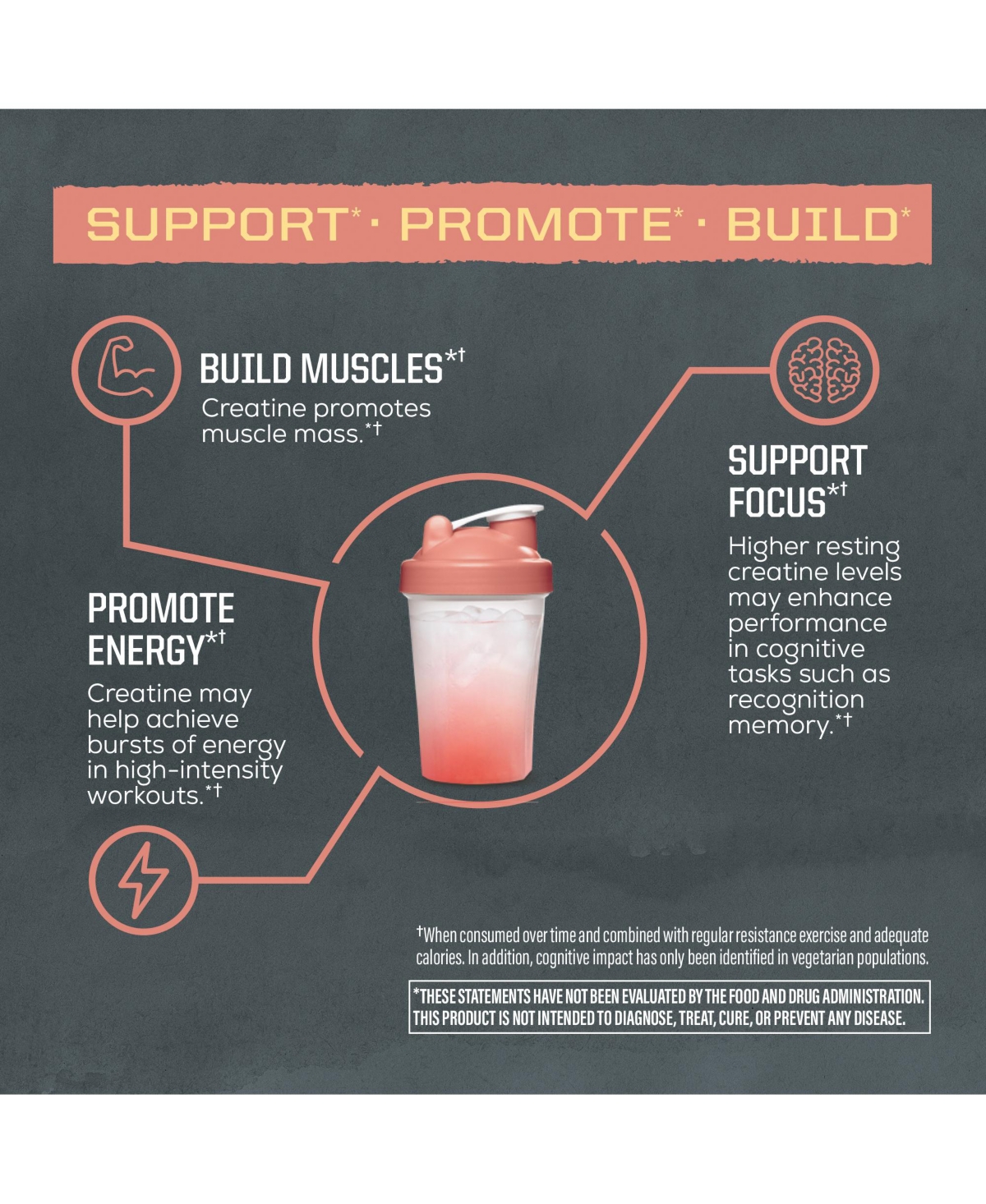 Sunwarrior Us Active Creatine Rainbow Sherbet 335g (50 srv