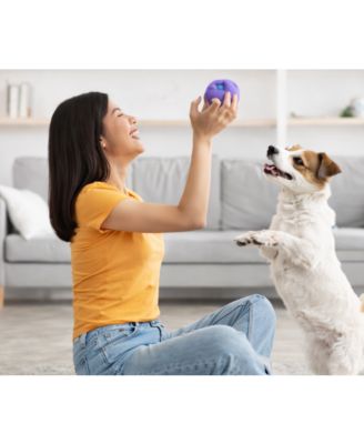 Squeaky Plush Dog Toys Set – Interactive Fruit & Vegetable Chew Toys with Built-in Squeaker for Small to Medium Dogs