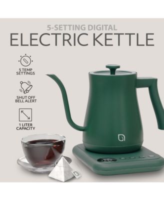 1L Gooseneck Electric Kettle