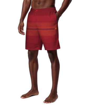 Men's 9" Breaker Stripe Volley Swim Shorts