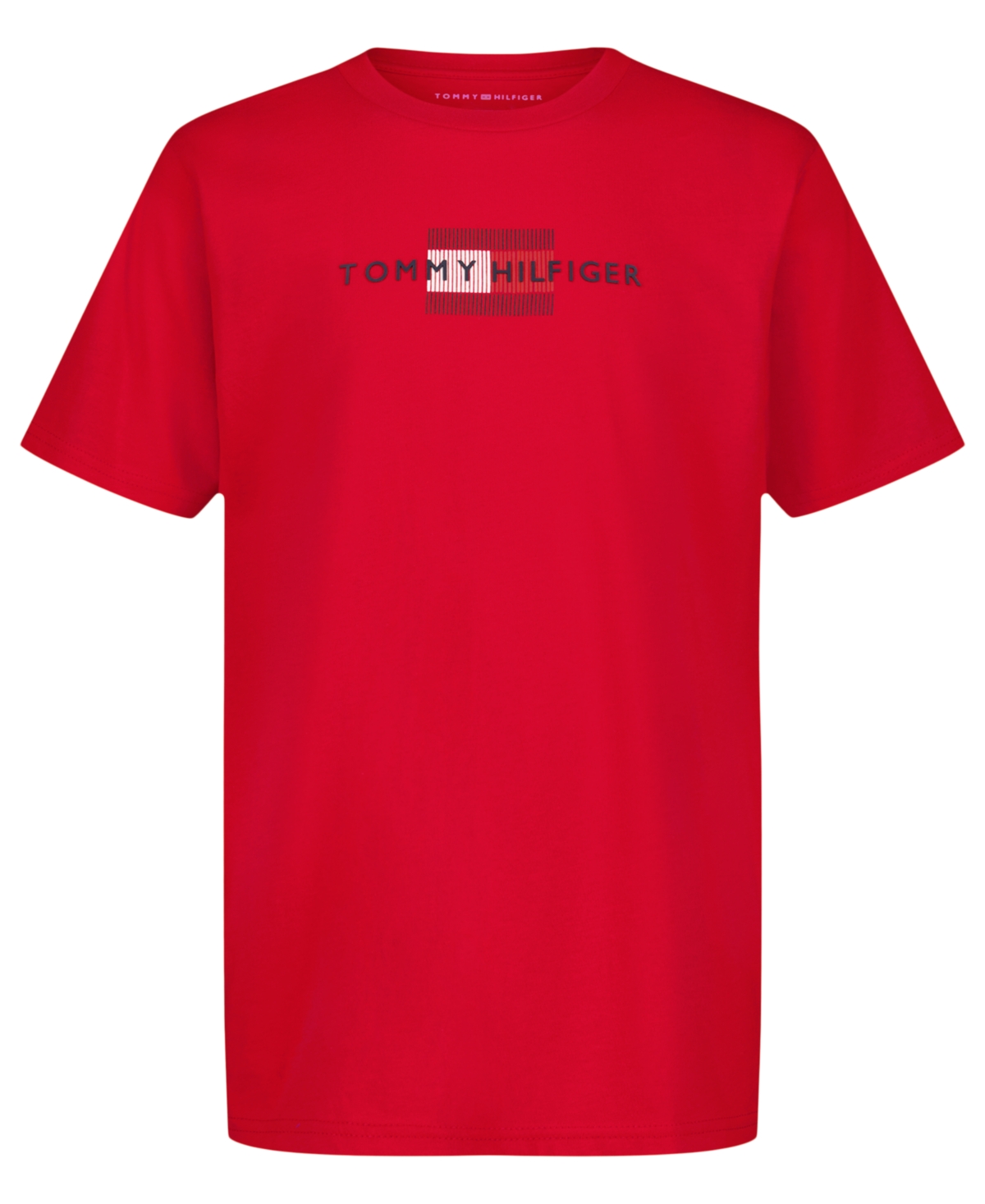 Tommy Hilfiger Boys' 8-20 Linear Flag Short-Sleeve T-Shirt