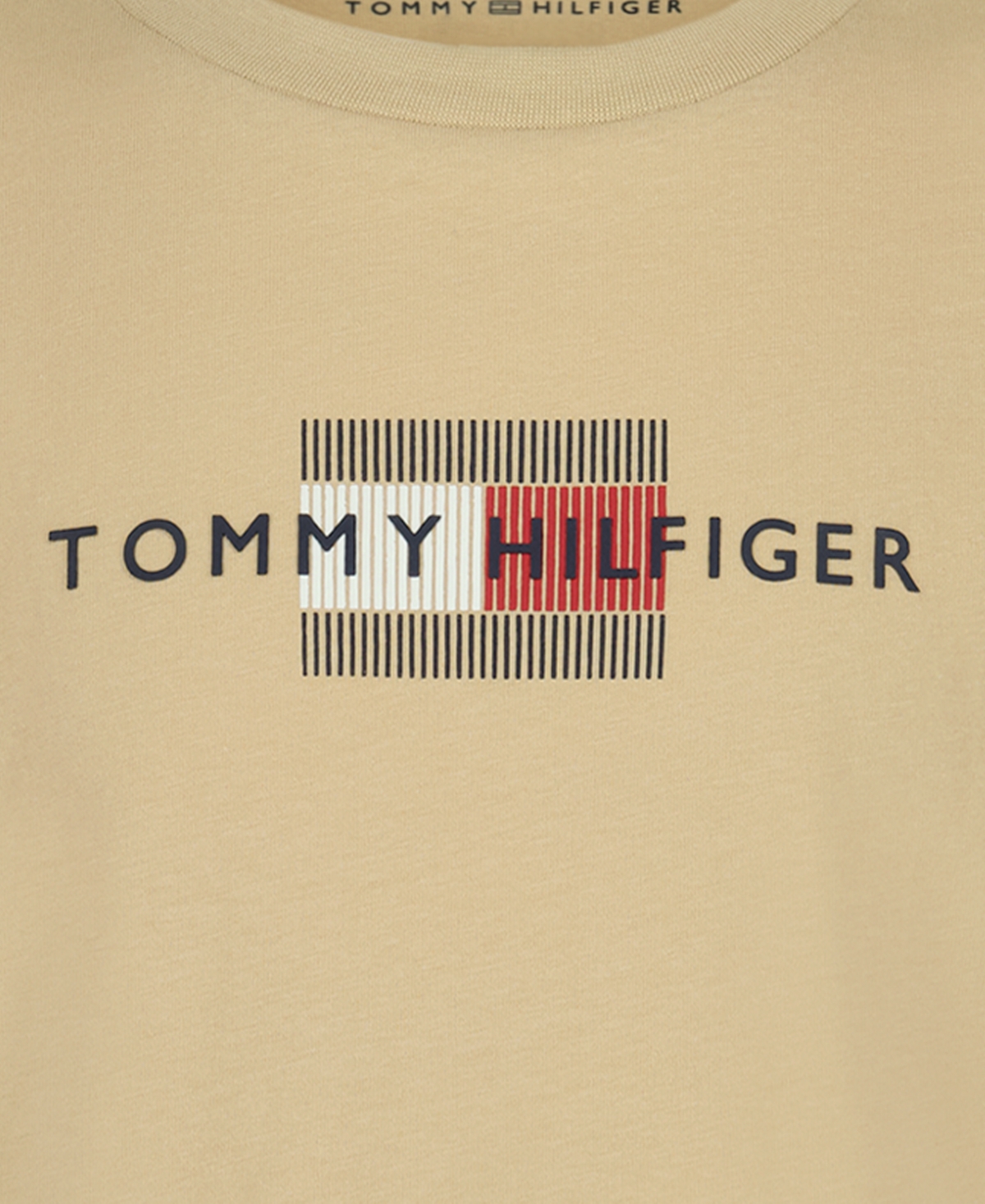 Tommy Hilfiger Boys' 8-20 Linear Flag T-Shirt