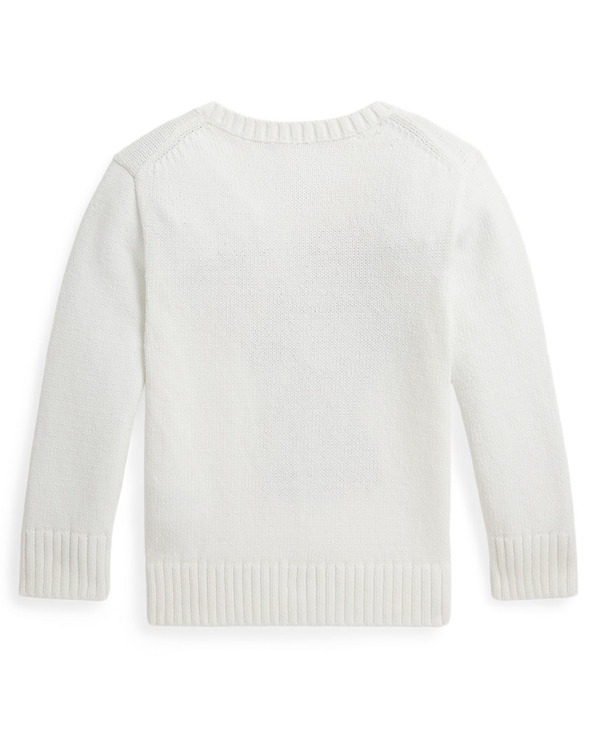 Polo Ralph Lauren Boys' 2-7 Crewneck Sweater