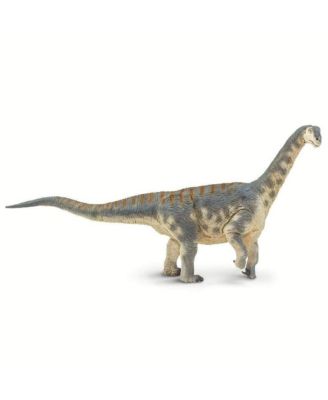 - Camarasaurus