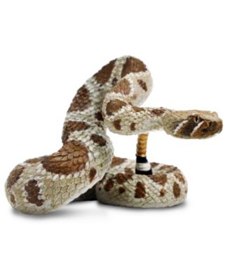 - Western Diamondback Rattlesnake