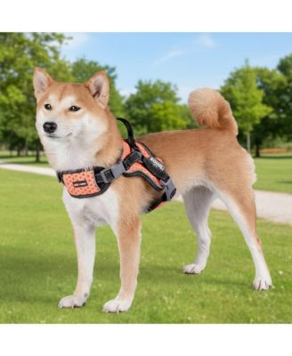 High-Performance Sport Dog Harness “Helios Scorpion” - Free-Range Mobility & Secure Fit for Active Dogs