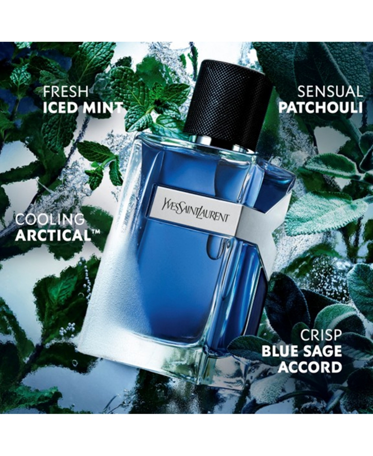 Yves Saint Laurent Men's Y Iced Cologne Eau De Toilette Intense