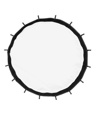 EZ-Pro DLX 24" Collapsible Beauty Dish and Softbox with Bowens Insert and Grid