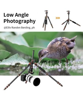 BA225 5-Section Carbon Fiber Tripod/Monopod with 360-Degree Ball Head, 17.6 lbs Capacity