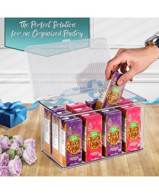 Storage Bins For Pantry & Fridge With Hinged Lids (3 Piece Variety)