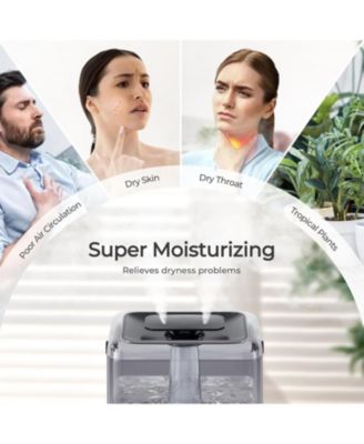 6L Cold Mist Humidifier with Oil Diffuser and Double Mist Outlets - Black