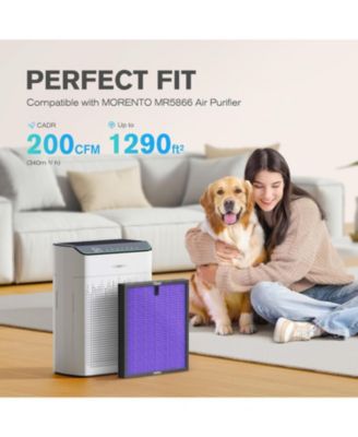 MR5866 Air Purifier Replacement Filter, True HEPA Filter Compatible with MR5866, Multifunctional Version, 2 Pack