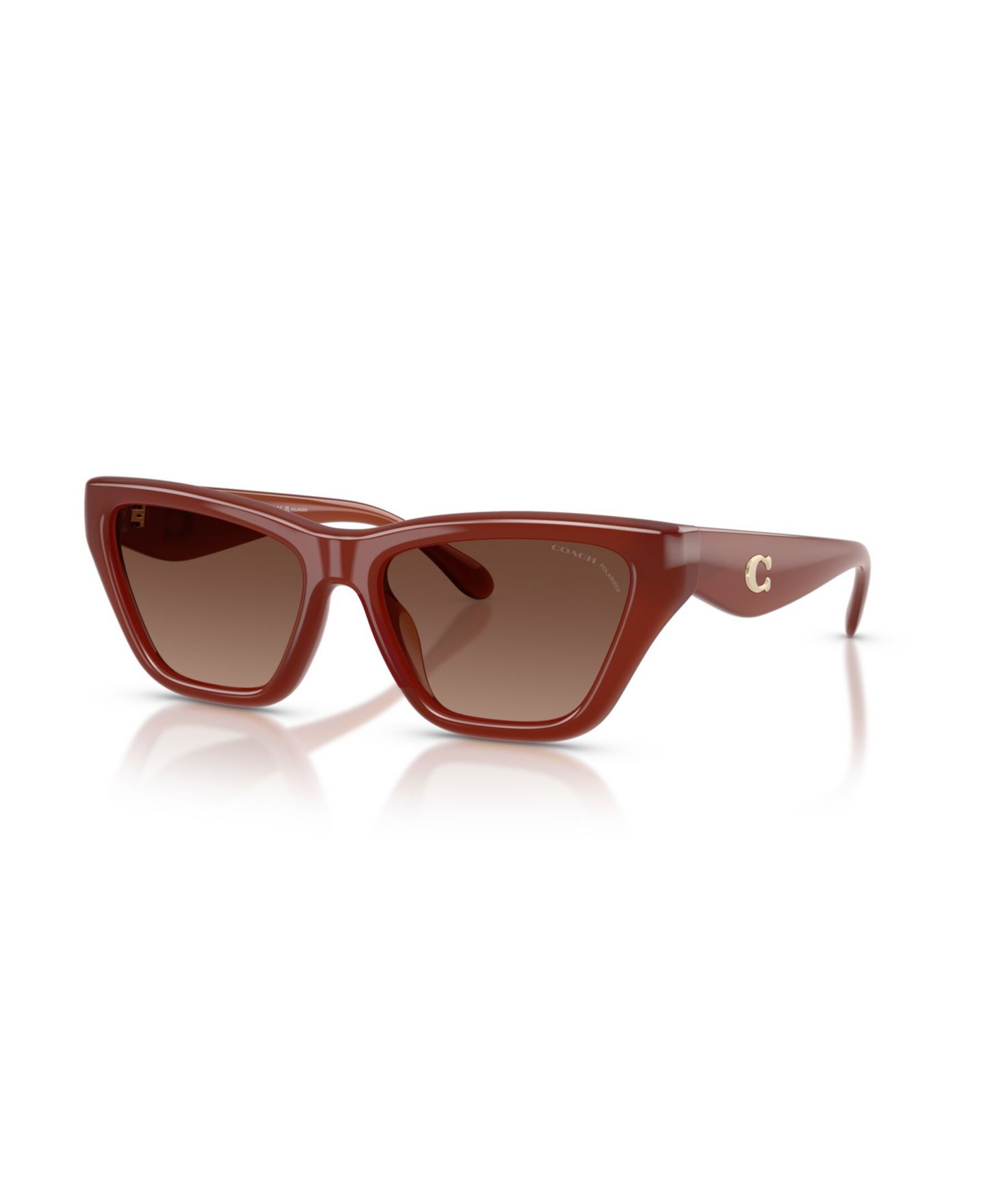 Женские солнцезащитные очки COACH Cat Eye Polarized Sunglasses, CDP33 HC8449U, цвет: Ореховый — фото 1