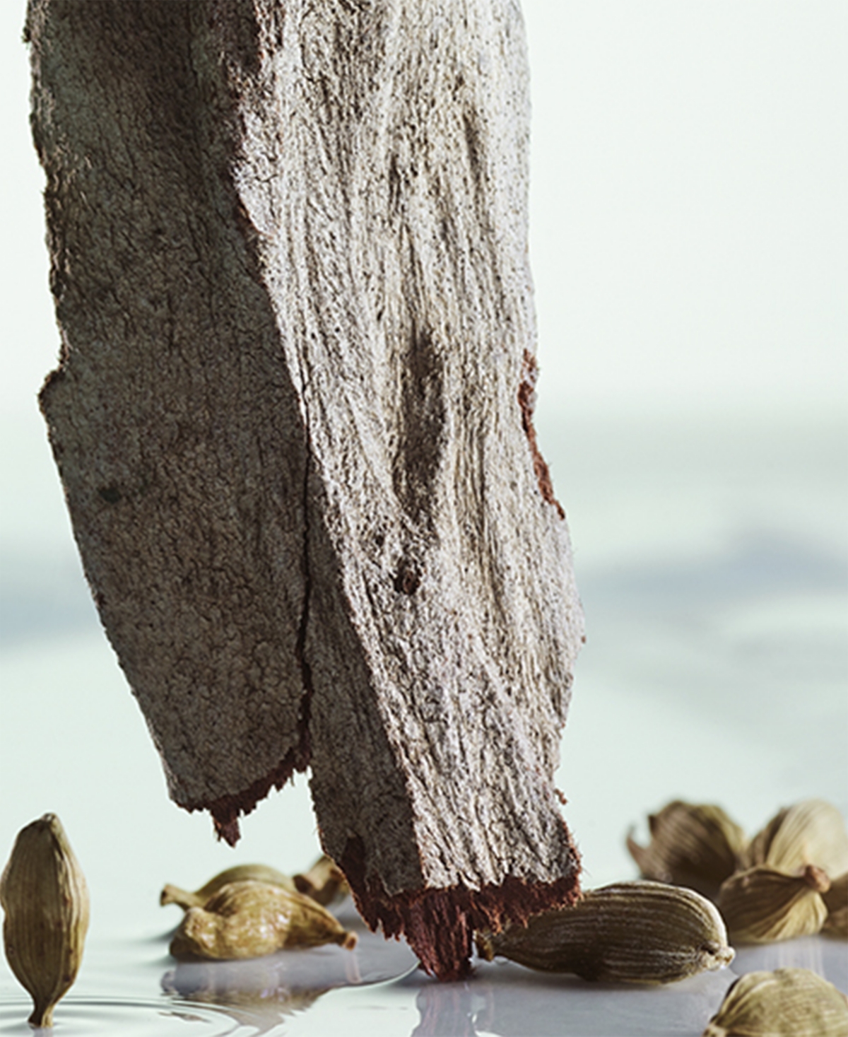 Bvlgari Pour Homme Eau De Parfum, 1.7 oz.