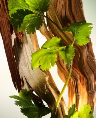 2-Pc. Man Wood Essence Eau De Parfum Gift Set