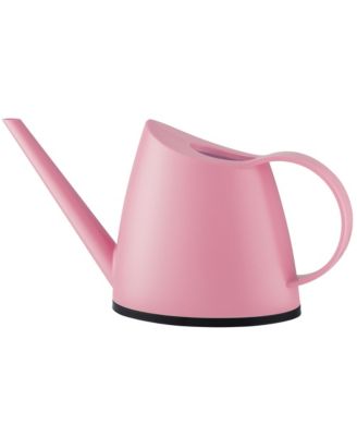 Small Watering Can with Long Slim Spout for Indoor Plants, 47oz