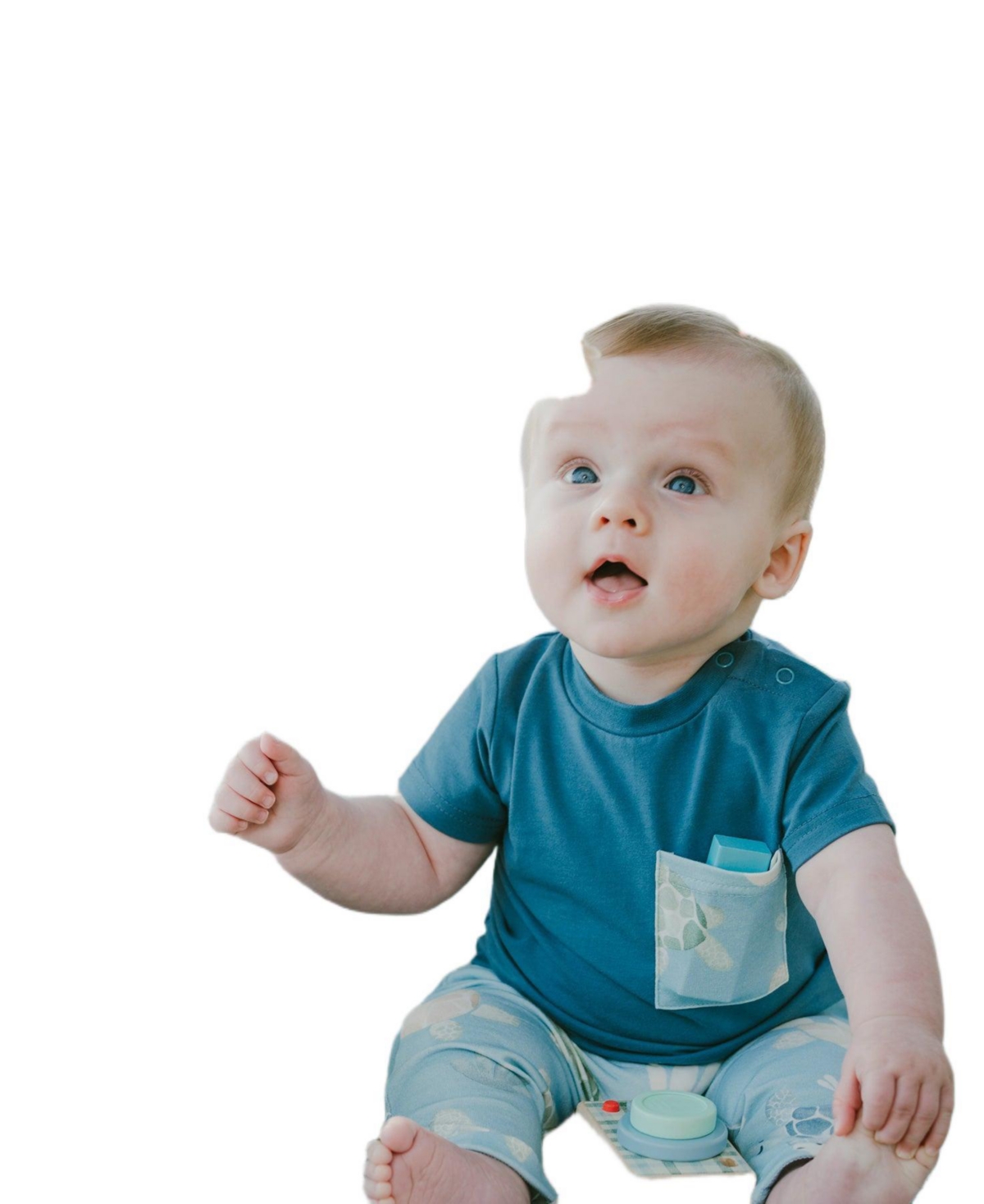 Deux par Deux Baby Boy Cotton Jersey T-Shirt and Pants Set Turtle Print - Baby