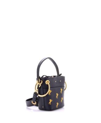 Mini Roy Bucket Bag Embroidered Leather