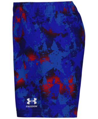 Boys' 4-7 Freedom Printed Swim T-Shirt and Shorts, 2-Piece Set