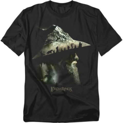 Мужская футболка Lord Of The Rings Gandalf Fellowship Mountains, цвет: Чёрный