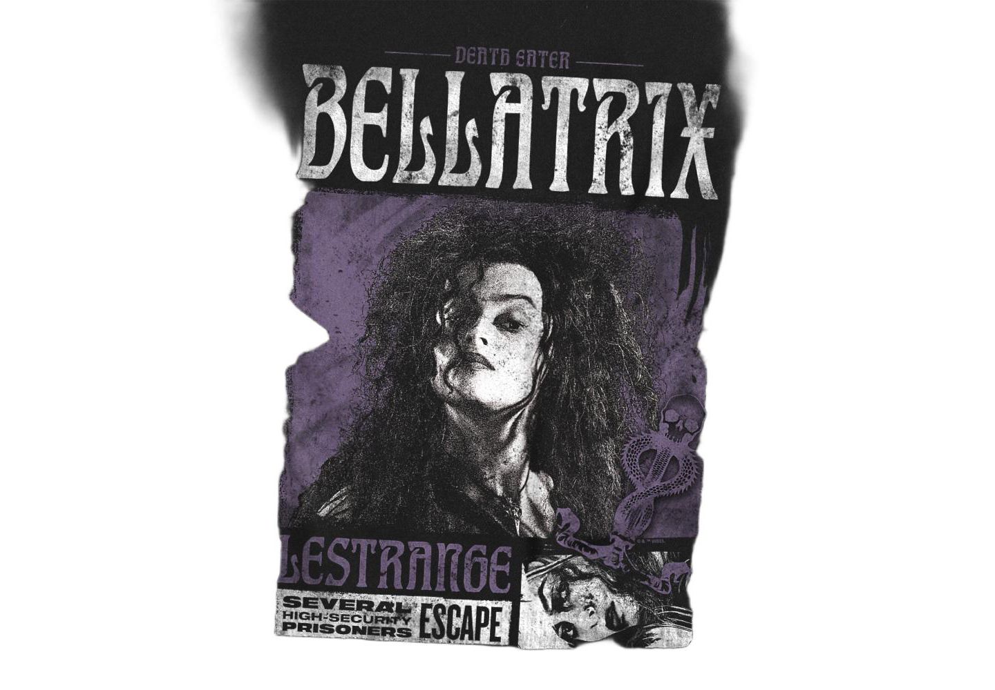 Мужская футболка Harry Potter Bellatrix Lestrange Band, цвет: Чёрный — фото 2