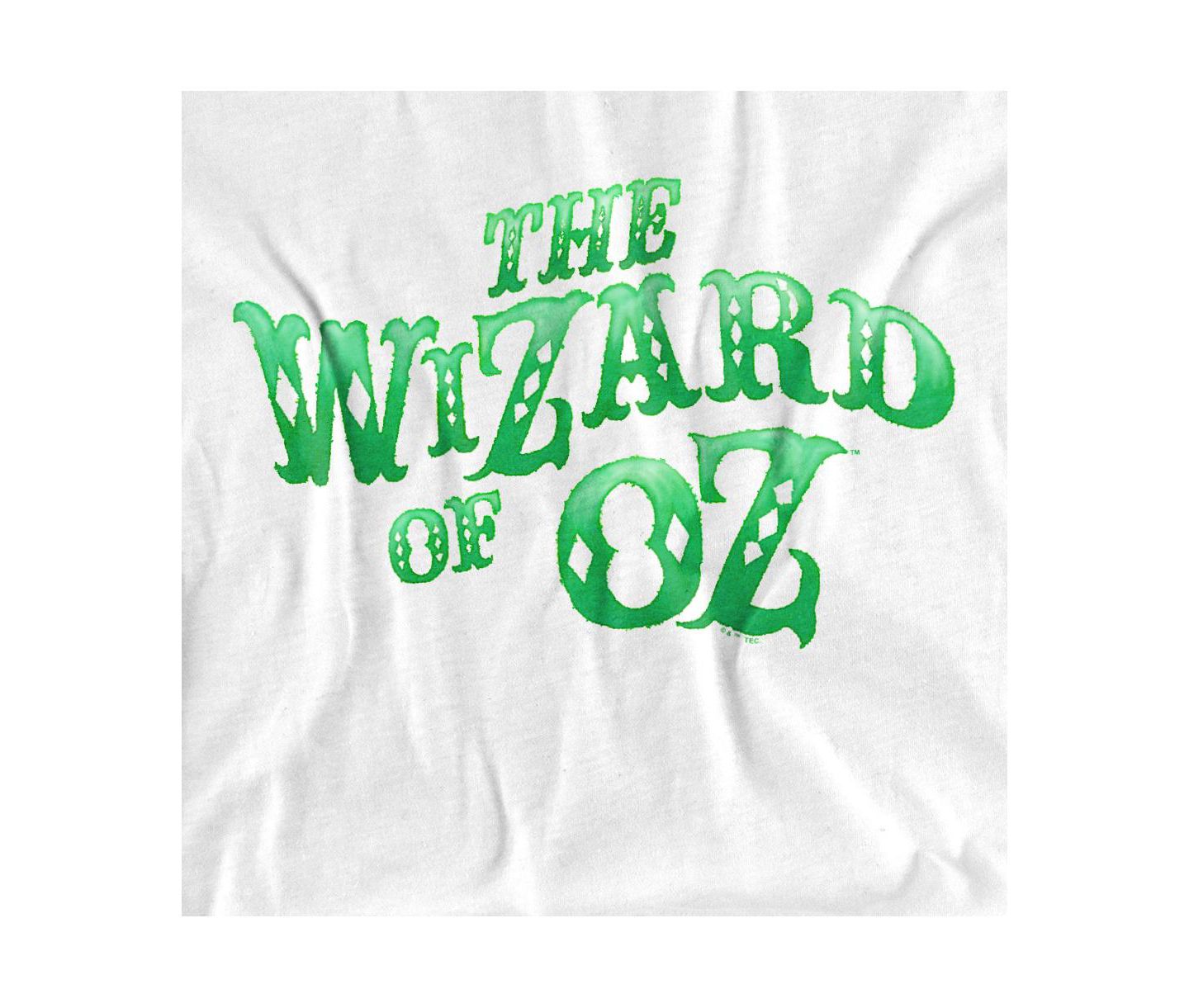 Мужская футболка Wizard Of Oz The Rough Logo, цвет: Белый — фото 2