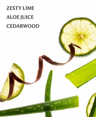 Power Mist Aloe You Hydrating Hand Sanitizer, 1 oz.