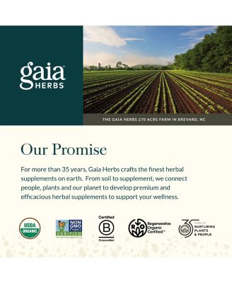 Plant Force Liquid Iron - Vegetarian Iron Supplement to Help Maintain Healthy Iron & Energy Levels - 8.5 Fl Oz (25 Servings)