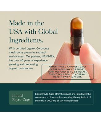 Adrenal Health Jumpstart - Helps Sustain Healthy Energy & Stress Levels - 60 Liquid Phyto-Capsules (30 Servings)