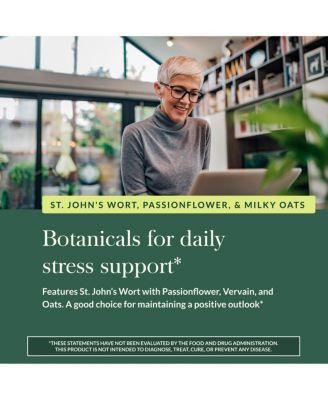 Steady Mind - Traditionally Used for Stress Relief - With St. John's Wort, Passionflower - 60 Vegan Liquid Phyto-Capsules (60 Servings)