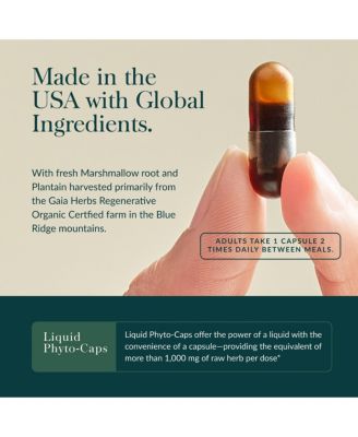 Mighty Lungs - Lung Support Supplement with Herbs Used to Help Maintain Respiratory Health - 60 Liquid Phyto-Caps (60 Servings)