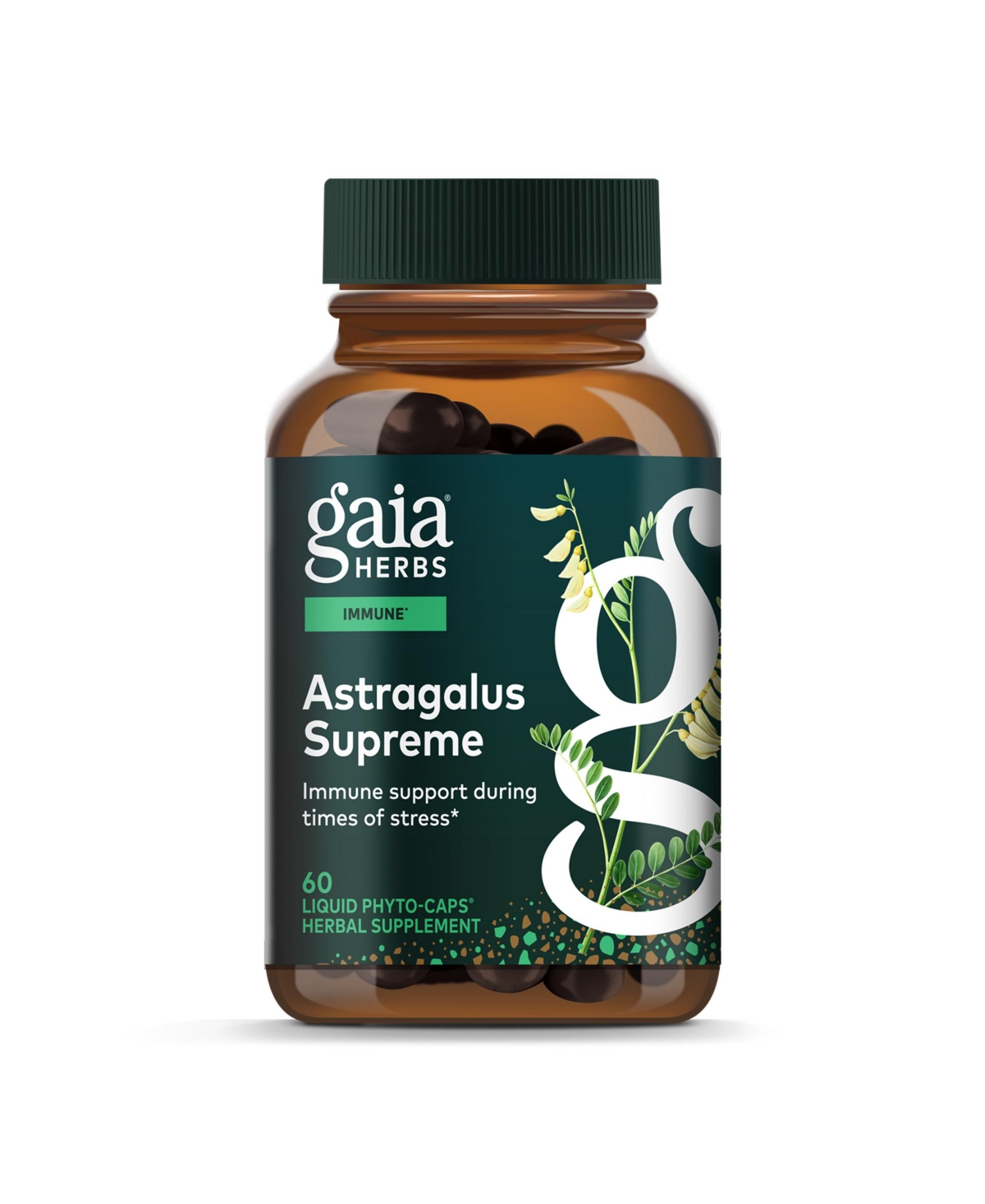 Gaia Herbs Astragalus Supreme - Immune and Antioxidant Support Herbal Supplement - With Astragalus Root, Schisandra Berry, and Ligustrum