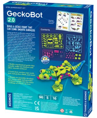 GeckoBot 2.0