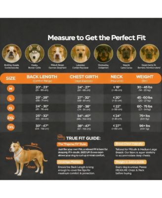 Large Dog Comfortable Pajamas for Recovery and Sleep