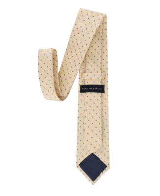 Men's Ashland Dot Tie