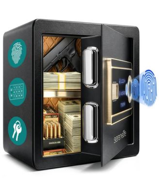 Biometric Fingerprint Safe with Keypad & Backup Keys - Quick Access Digital Home & Office Security Box, Solid Metal Build