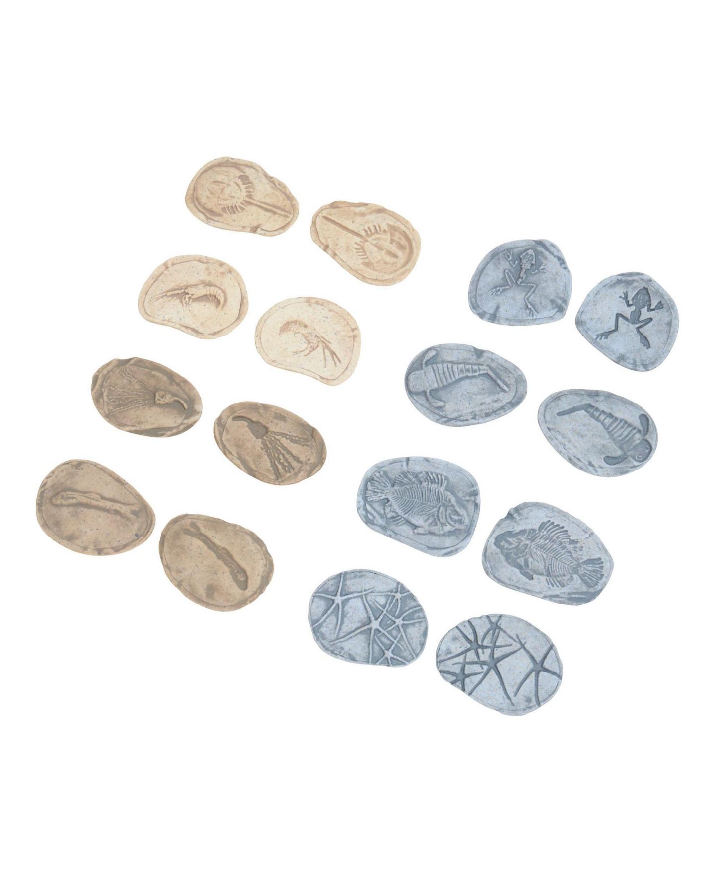 Детские игрушки Kaplan Early Learning Magnetic Matching Aquatic Life Fossil Stones 8-Piece Set, Ages 2+, цвет: Серый — фото 7