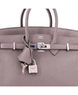 Birkin 25 Handbag Grey Novillo with Palladium Hardware