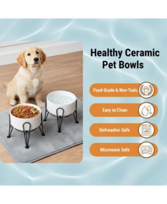 Elevated Dog Ceramic Bowl Set 2 Pack with Anti-slip Non-tip Metal Stand for Dogs Food Water Feeding