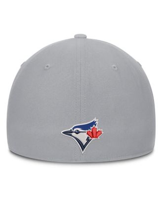 Men's Gray Toronto Blue Jays Primetime Rise Dri-FIT Flex Hat
