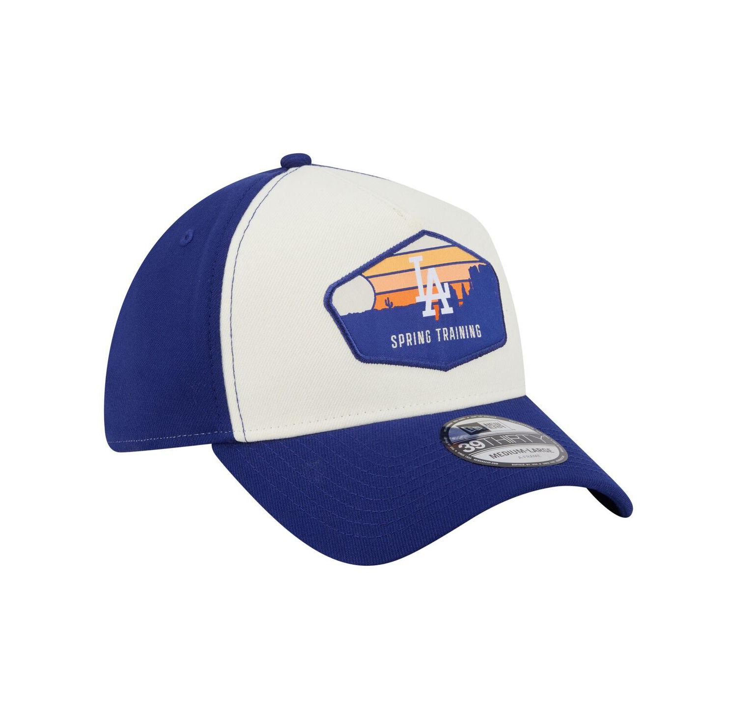 Men's Stone Los Angeles Dodgers 2026 Spring Training Fan Pack Gradient 39THIRTY Flex Hat
