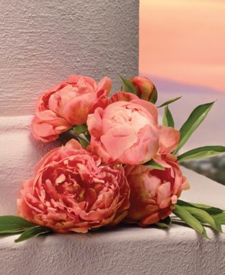 My Devotion Eau de Parfum Spray, 1 oz.