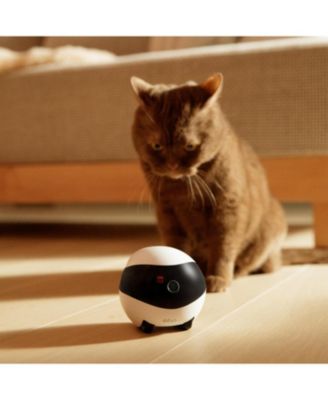 EBO SE FamilyBot Home Camera Robot