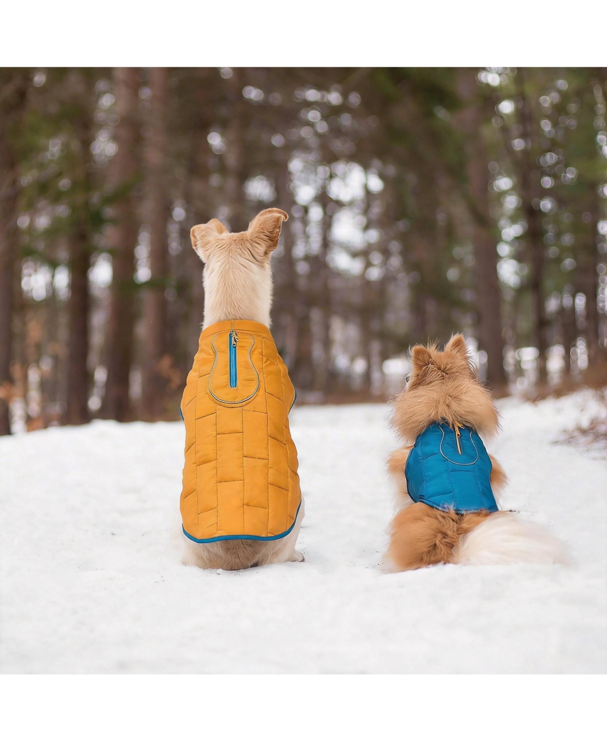 Aronkl Loft Dog Jacket: Insulated, Reversible, Water-Resistant, Reflective
