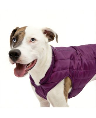 Loft Dog Jacket: Insulated, Reversible, Water-Resistant, Reflective, Adventure Ready