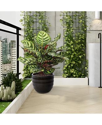 Dark Coffee Ceramic Planter Set of 4 (6.5" to 14.17") - Indoor/Outdoor Flower Pot