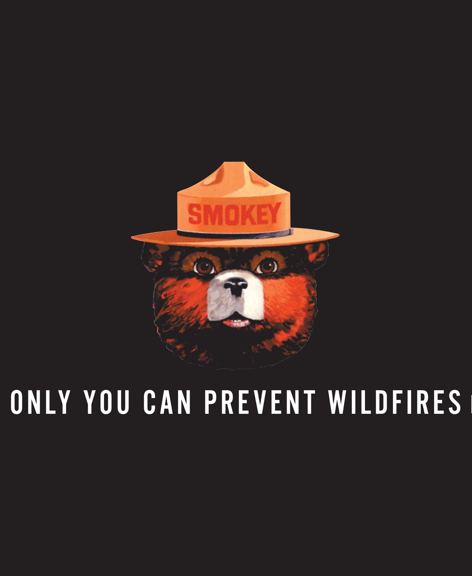 Men's Smokey the Bear Short-Sleeve Crewneck T-Shirt