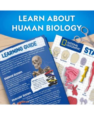 Glow-In-The-Dark Human Body