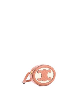 Triomphe Oval Crossbody Bag Canvas and Leather